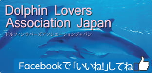 Dolphin Lovers Association Japan Facebook