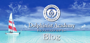 Dolphiist Academyブログ